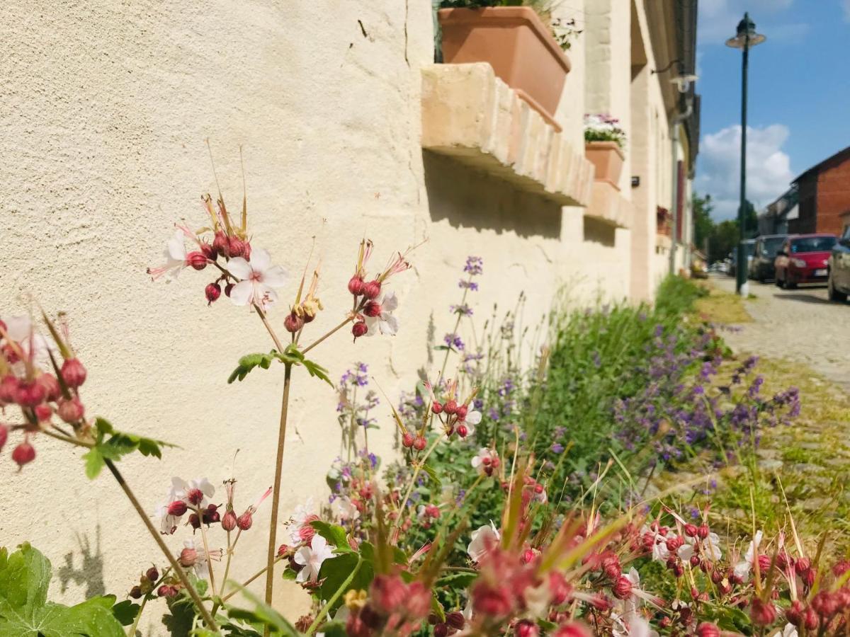 Klein Aber Fein In Der Altstadt Angermunde Bagian luar foto